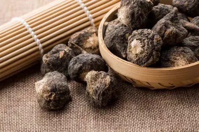 如何製作春藥?你需要知道這些催情配方!